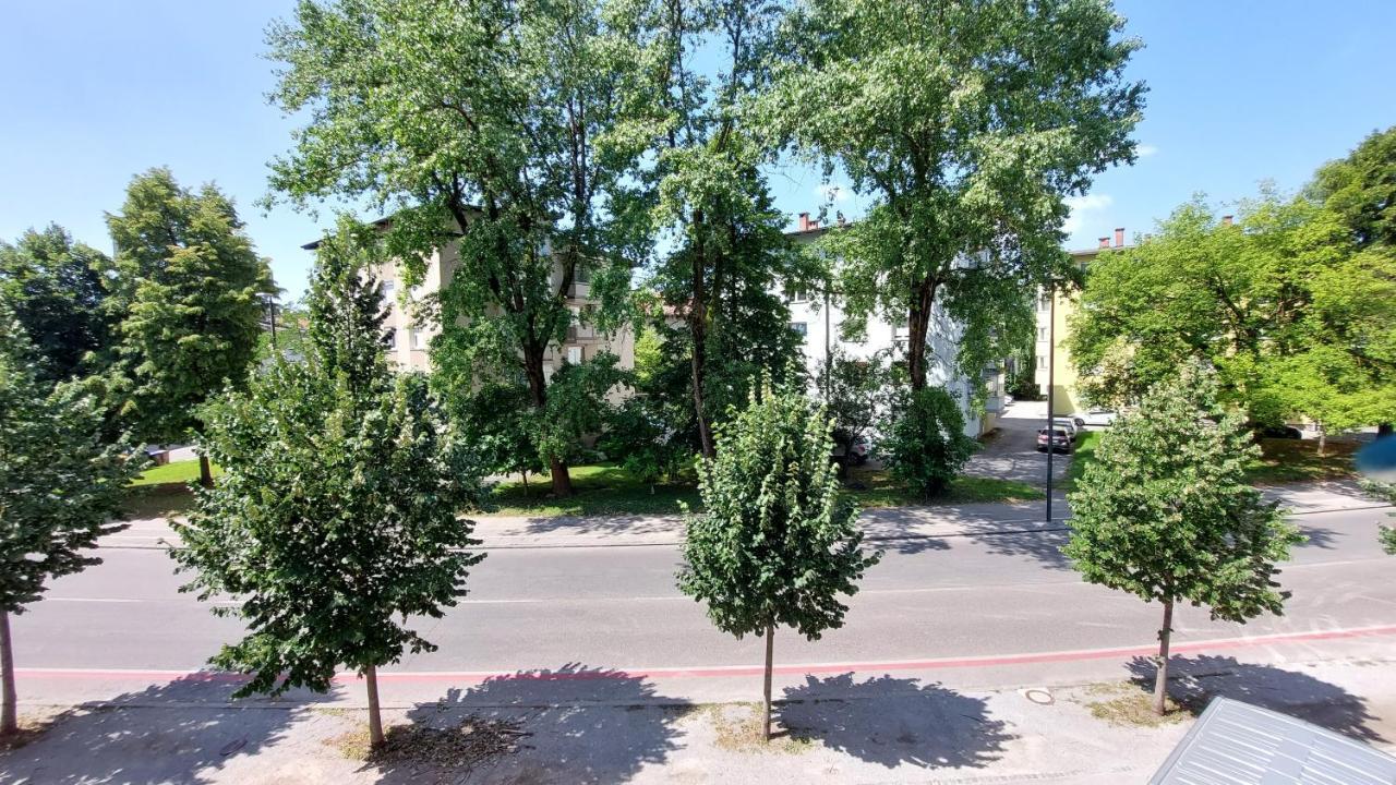 Cozy, Bright And Affordable Studio W/ Free Parking Любляна Екстериор снимка